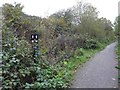 Hidden junction sign on NCN674