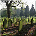 SK7792 : Walkeringham churchyard by Alan Murray-Rust