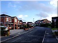 Rannoch Close, Withymoor