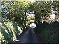 Descent into Mevagissey