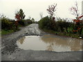 A lane with large potholes, Kilcroagh