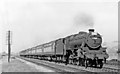 Down holiday express at Naas Crossing (Haresfield), 1949