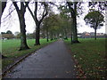 Cycle path through Devenport Park