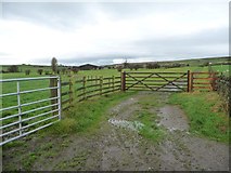 SE0349 : Gated track to Schoolmaster Place Farm by Christine Johnstone