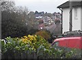 View from Sycamore Close, Kingsbury