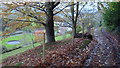 Above Llangedwyn Hall in autumn