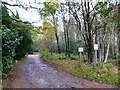 Footpath goes north from Brentmoor Road