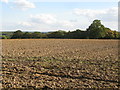 Farmland and (part of) Ongar Park Wood