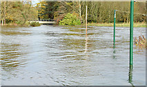 J3269 : The River Lagan in flood, Clement Wilson Park, Belfast - November 2014(1) by Albert Bridge