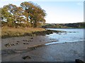 Low tide mud