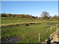 Fields below Brwyn Gwylan