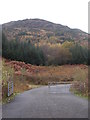 Forestry road off the A82