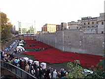 TQ3380 : Blood Swept Lands and Seas of Red, Tower Poppies by Oast House Archive