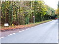 Looking west on Carthouse Lane