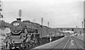 Summer Saturday express at Haresfield, 1951