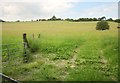 Fields near the Ebble