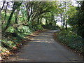 Lane heading east, Carne Hill