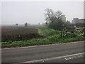 Bridleway from Lynn Road