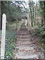 Steep path by Headley Road, Mickleham