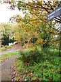 Path going west from Parley Drive to reach the Basingstoke Canal