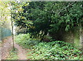 Robin Hood Way, towards Ravenshead