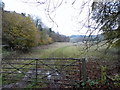 Field by Headley Lane, Mickleham