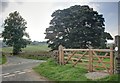 Gate and Road Junction