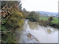 The River Mole at Givons Grove