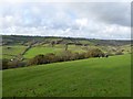 SY1693 : East Devon Way and Roncombe valley by David Smith