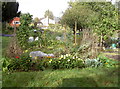 Wilton Church allotments