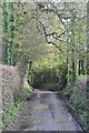 Torridge : Country Lane