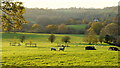 The Cradley Brook valley