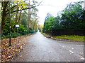 Looking along Pond Road from the junction with Golf Club Road