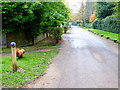 Looking along Pond Road from the crossing with Mile Path