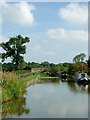 SJ8458 : Macclesfield Canal north-east of Scholar Green, Cheshire by Roger  Kidd