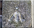 J3436 : Bench Mark, Castlewellan by Rossographer