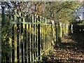 Fence, Oldbury Court