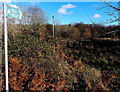 Public footpath sign at the edge of the B4280 NW of Pencoed