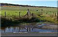 Gate to Hirwaun Common near Heol-y-cyw