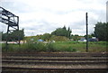 Waste ground by the railway line