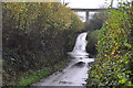 Torridge : Country Lane