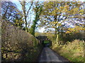 Railway bridge on Oak Lane