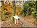 Path in Ransnap Woods, Euxton