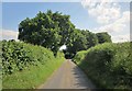 Lane near Crooked Soley