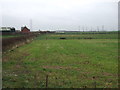 Farmland east of Wild Lane