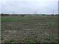 Flat farmland off Whitehill Road