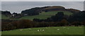 Mixed grazing and woodland