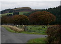 Lane by farm track for Upper Maesygroes