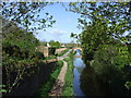 The Bridgwater and Taunton Canal