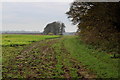 Field beside the Grounds of Norton Conyers